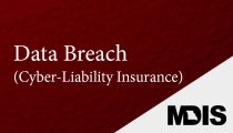 Data Breach (Cyber-Liability Insurance) Logo