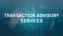 Transaction Advisory Services Logo